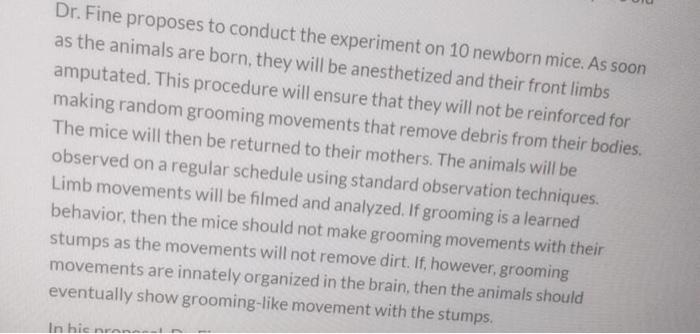 Dr Fine Proposes To Conduct The Experiment On 10 Newborn Mice As Soon As The Animals Are Born They Will Be Anesthetiz 2