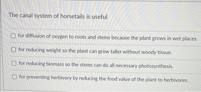 The Canal System Of Horsetails Is Useful For Diffusion Of Oxygen To Roots And Stems Because The Plant Grows In Wet Place 1