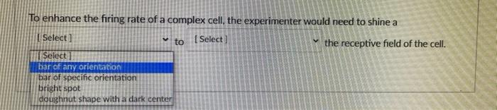To Enhance The Firing Rate Of A Complex Cell The Experimenter Would Need To Shine A I Select To Select The Receptive 1