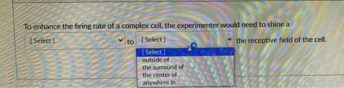 To Enhance The Firing Rate Of A Complex Cell The Experimenter Would Need To Shine A I Select To Select The Receptive 2