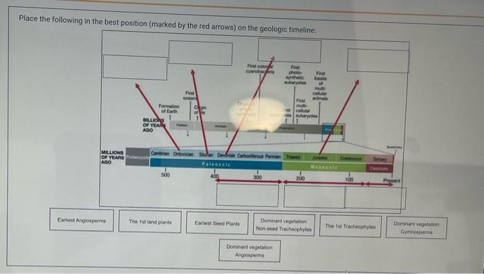 Place The Following In The Best Position Marked By The Red Arrows On The Geologic Timeline Fire Carba Be W Mu Fi F Fo 1