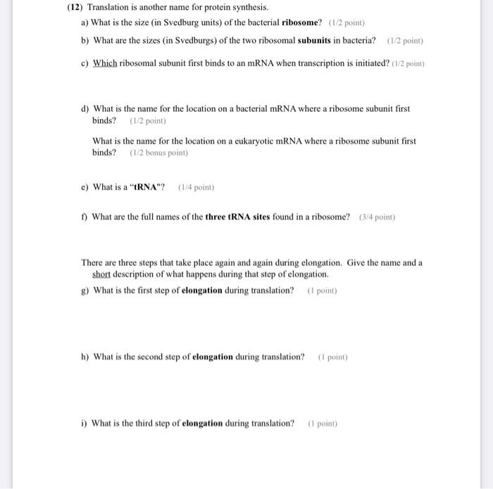 12 Translation Is Another Name For Protein Synthesis A What Is The Size In Svedburg Units Of The Bacterial Ribosom 1