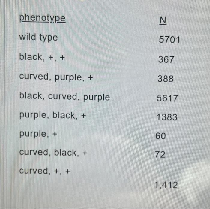 8 A Testcross Was Completed Between A Female Wild Type Fruit Fly With A Male That Has Purple Eyes Black Body And Curv 2