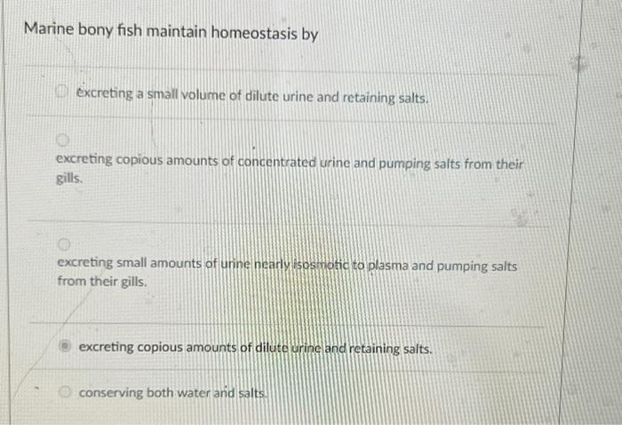 Question 3 0 1 Pts At Present There Are No Osmotic Conformers In Any Freshwater Animal Species On Earth Why Marine En 4