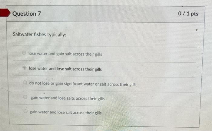 Question 3 0 1 Pts At Present There Are No Osmotic Conformers In Any Freshwater Animal Species On Earth Why Marine En 2