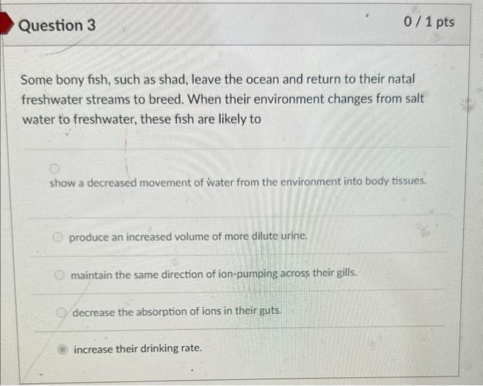 Question 3 0 1 Pts At Present There Are No Osmotic Conformers In Any Freshwater Animal Species On Earth Why Marine En 3