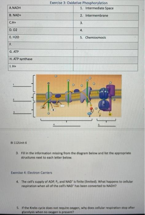 And Need Question 4 5 Below Will Rate Based On Answer Thank You 1