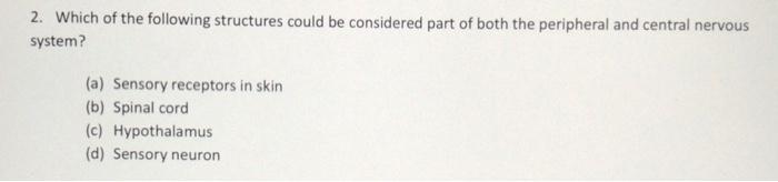 2 Which Of The Following Structures Could Be Considered Part Of Both The Peripheral And Central Nervous System A Sen 1