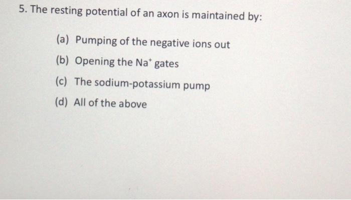 5 The Resting Potential Of An Axon Is Maintained By A Pumping Of The Negative Ions Out B Opening The Na Gates C 1