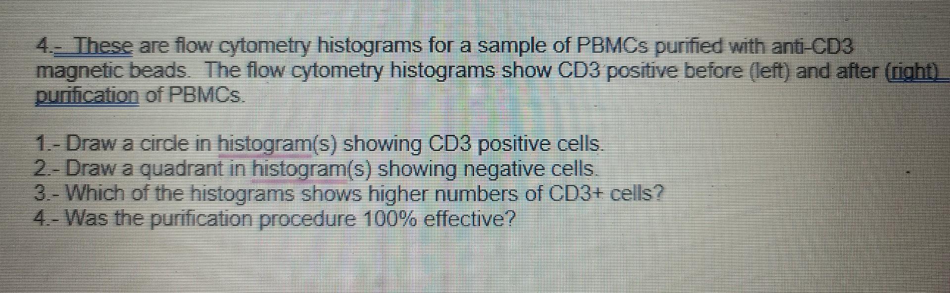 4 These Are Flow Cytometry Histograms For A Sample Of Pbmcs Purified With Anti Cd3 Magnetic Beads The Flow Cytometry Hi 1
