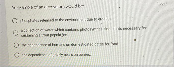 1 Point An Example Of An Ecosystem Would Be O Phosphates Released To The Environment Due To Erosion A Collection Of Wa 1