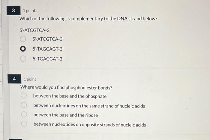 3 3 1 Point Which Of The Following Is Complementary To The Dna Strand Below 5 Atcgtca 3 5 Atcgtca 3 O 5 Tagcagt 3 5 Tga 1