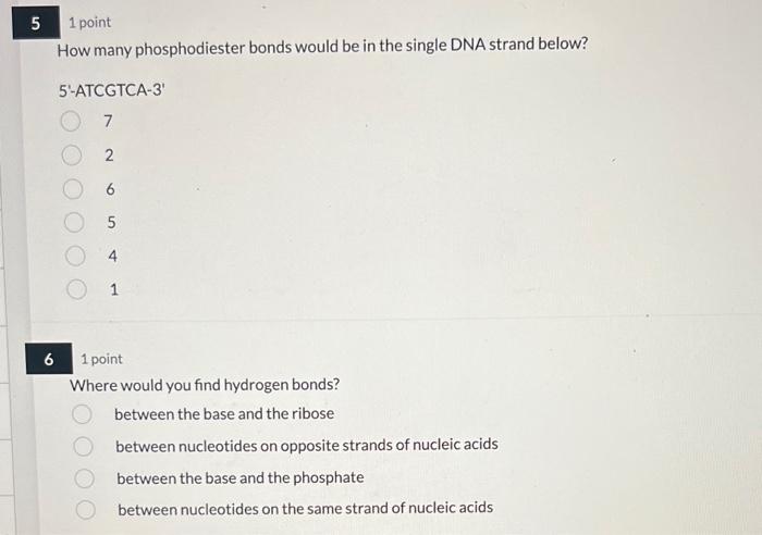 3 3 1 Point Which Of The Following Is Complementary To The Dna Strand Below 5 Atcgtca 3 5 Atcgtca 3 O 5 Tagcagt 3 5 Tga 2