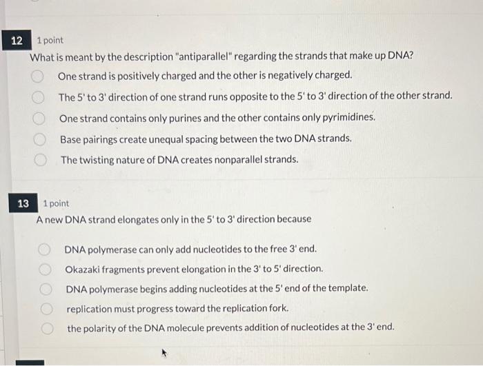 3 3 1 Point Which Of The Following Is Complementary To The Dna Strand Below 5 Atcgtca 3 5 Atcgtca 3 O 5 Tagcagt 3 5 Tga 5