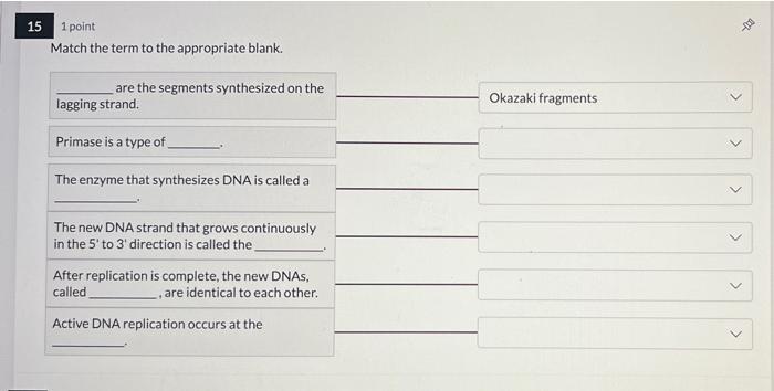 15 1 Point Match The Term To The Appropriate Blank Are The Segments Synthesized On The Lagging Strand Okazaki Fragme 1