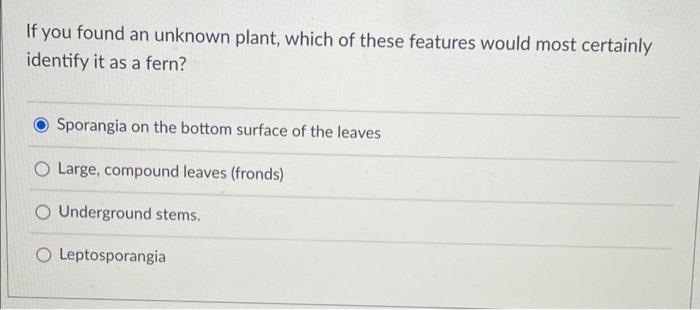 If You Found An Unknown Plant Which Of These Features Would Most Certainly Identify It As A Fern Sporangia On The Bott 1