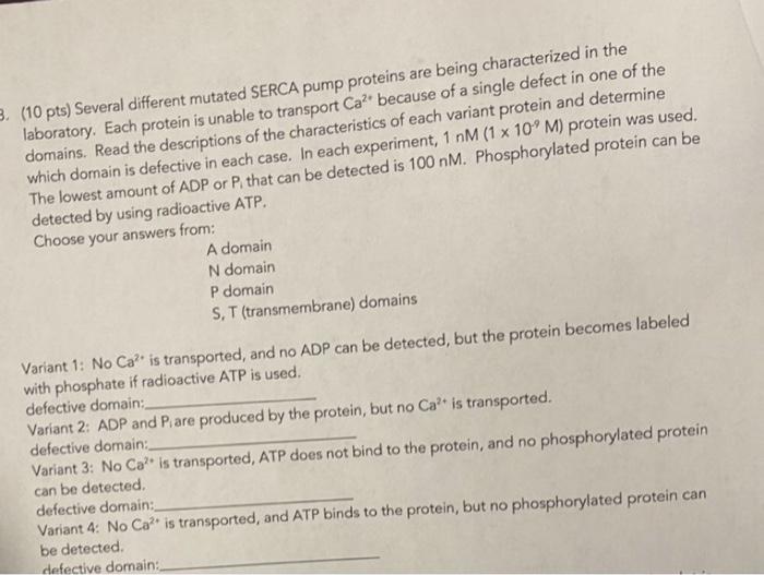 3 10 Pts Several Different Mutated Serca Pump Proteins Are Being Characterized In The Laboratory Each Protein Is Una 1