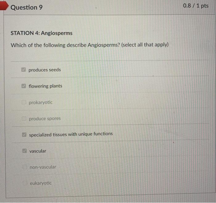 Question 9 0 8 1 Pts Station 4 Angiosperms Which Of The Following Describe Angiosperms Select All That Apply Produce 1