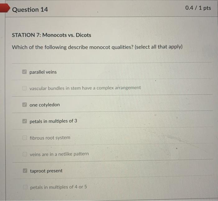 Question 14 0 4 1 Pts Station 7 Monocots Vs Dicots Which Of The Following Describe Monocot Qualities Select All Th 1