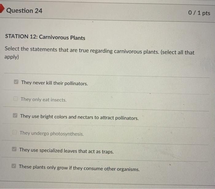Question 24 0 1 Pts Station 12 Carnivorous Plants Select The Statements That Are True Regarding Carnivorous Plants Se 1