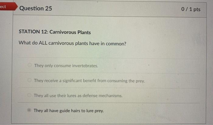 Ect Question 25 0 1 Pts Station 12 Carnivorous Plants What Do All Carnivorous Plants Have In Common They Only Consume 1