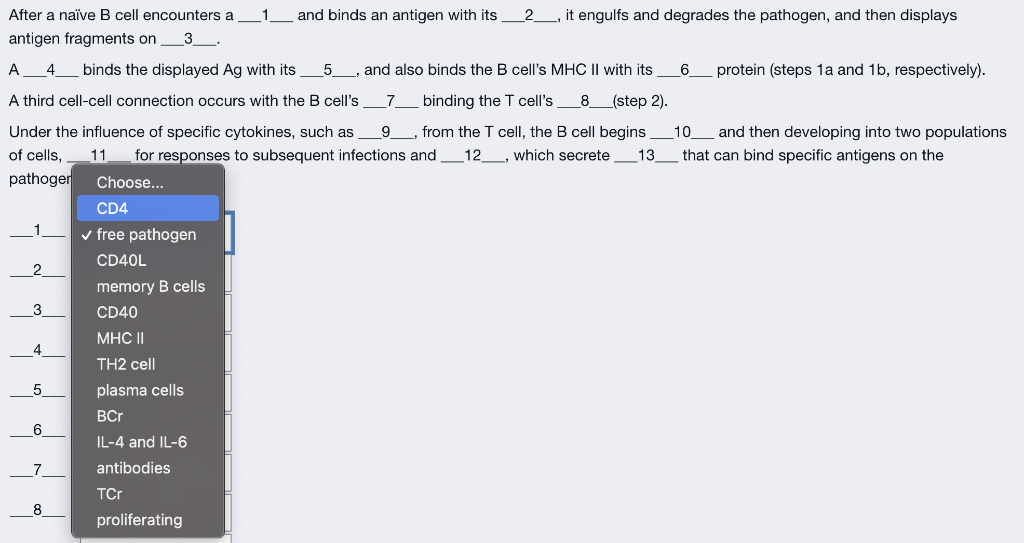 And Binds An Antigen With Its 2 It Engulfs And Degrades The Pathogen And Then Displays After A Naive B Cell Encounte 1