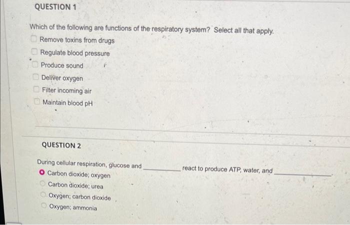 Question 1 Which Of The Following Are Functions Of The Respiratory System Select All That Apply Remove Toxins From Dru 1