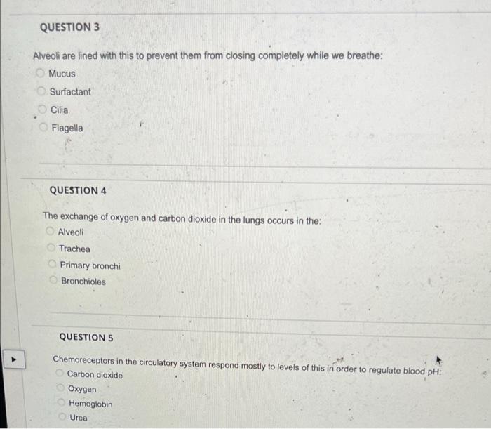 Question 1 Which Of The Following Are Functions Of The Respiratory System Select All That Apply Remove Toxins From Dru 2
