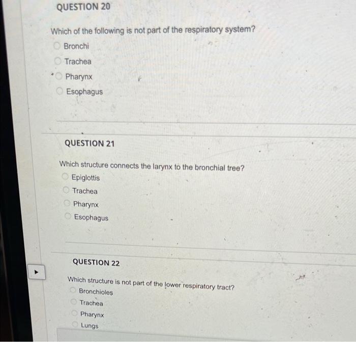 Question 1 Which Of The Following Are Functions Of The Respiratory System Select All That Apply Remove Toxins From Dru 3