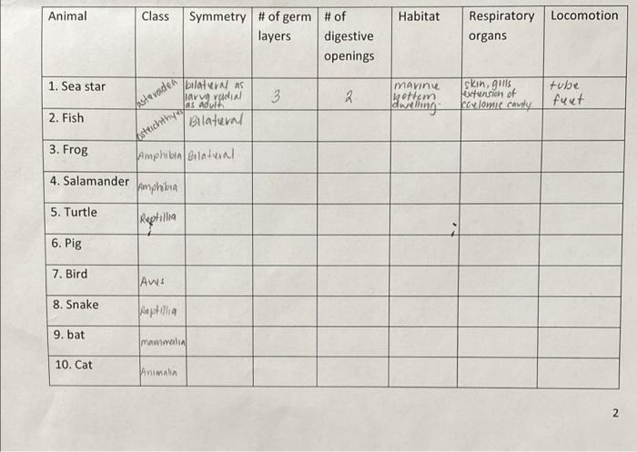 Animal Class Habitat Symmetry Of Germ Of Layers Digestive Openings Respiratory Locomotion Organs 1 Sea Star Bilater 1