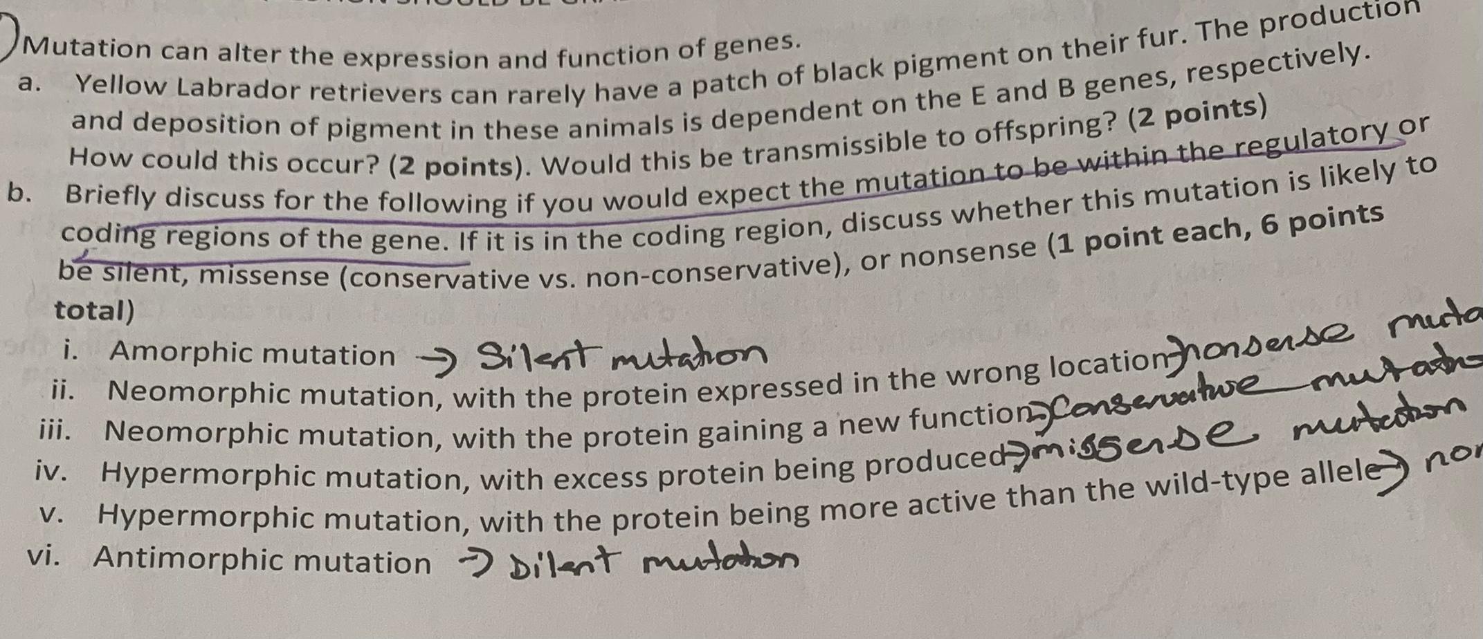 A Mutation Can Alter The Expression And Function Of Genes How Could This Occur 2 Points Would This Be Transmissibl 1