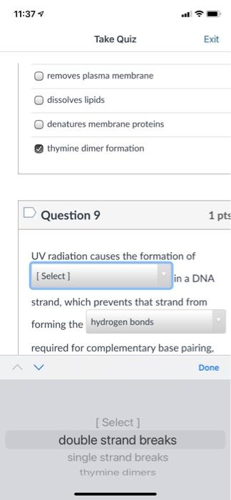 11 37 Take Quiz Exit Removes Plasma Membrane Dissolves Lipids Denatures Membrane Proteins Thymine Dimer Formation Questi 1