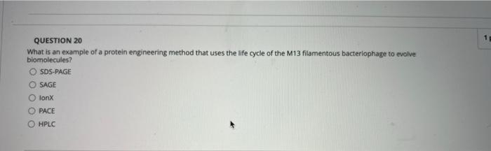 1 Question 20 What Is An Example Of A Protein Engineering Method That Uses The Life Cycle Of The M13 Filamentous Bacteri 1