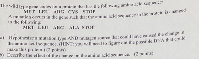 The Wild Type Gene Codes For A Protein That Has The Following Amino Acid Sequence Met Leu Arg Cys Stop A Mutation Occur 1