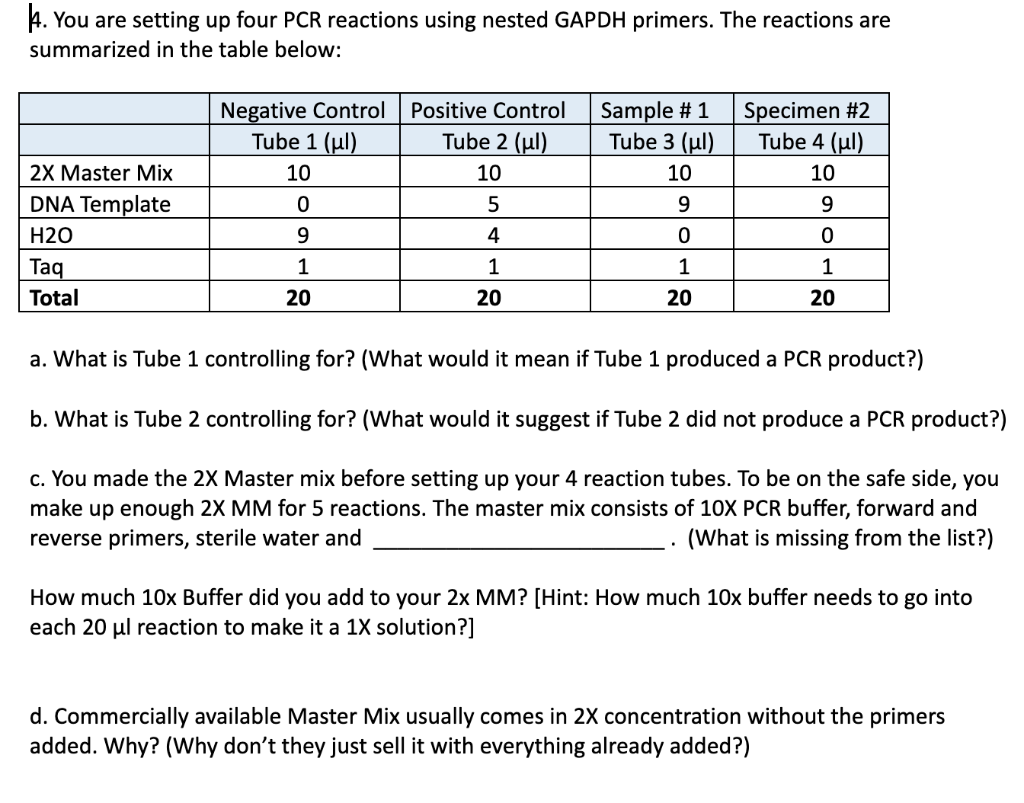 H You Are Setting Up Four Pcr Reactions Using Nested Gapdh Primers The Reactions Are Summarized In The Table Below Ne 1