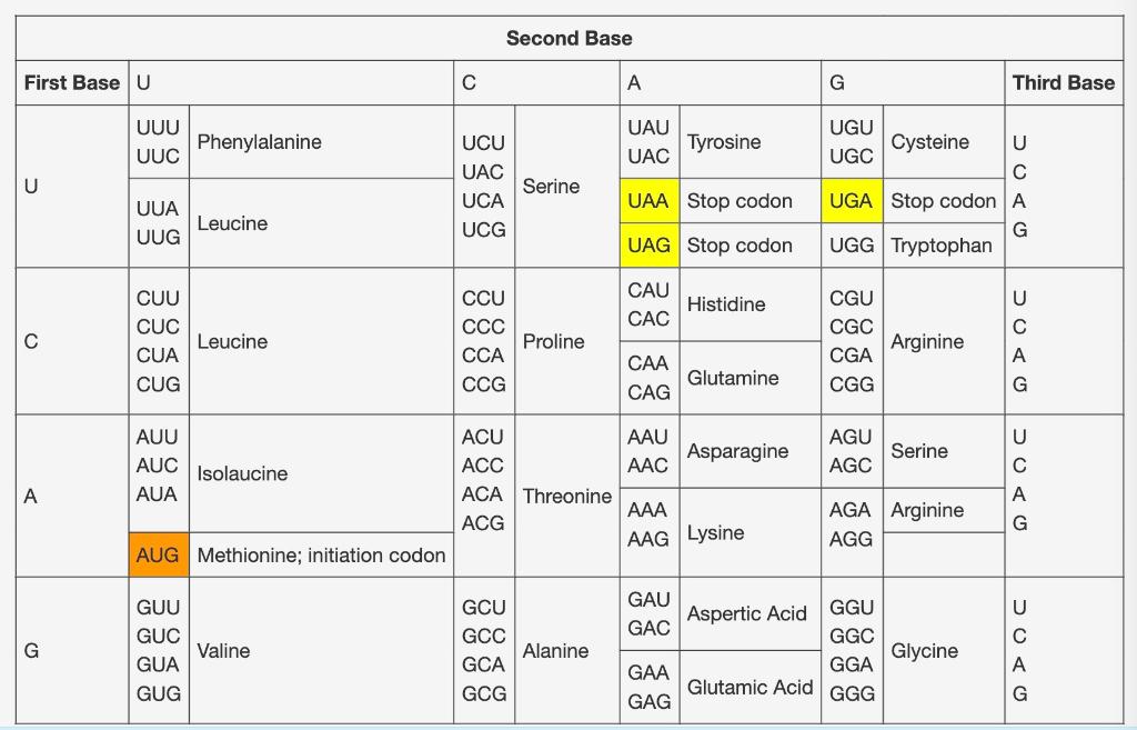 1 In A Population Of Sharks An Observable Trait Is Controlled By A Single Gene For Which There Are Only Two Alleles 1