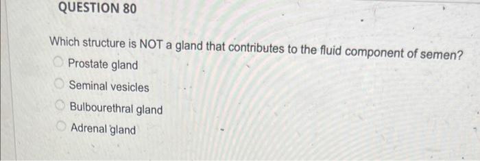 Question 80 Which Structure Is Not A Gland That Contributes To The Fluid Component Of Semen Prostate Gland Seminal Vesi 1