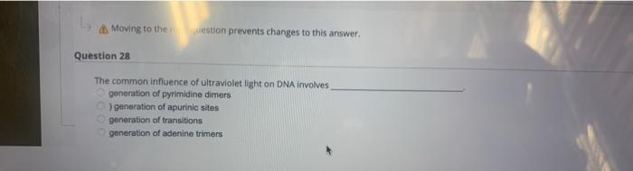 Moving To The Westion Prevents Changes To This Answer Question 28 The Common Influence Of Ultraviolet Light On Dna Invo 1