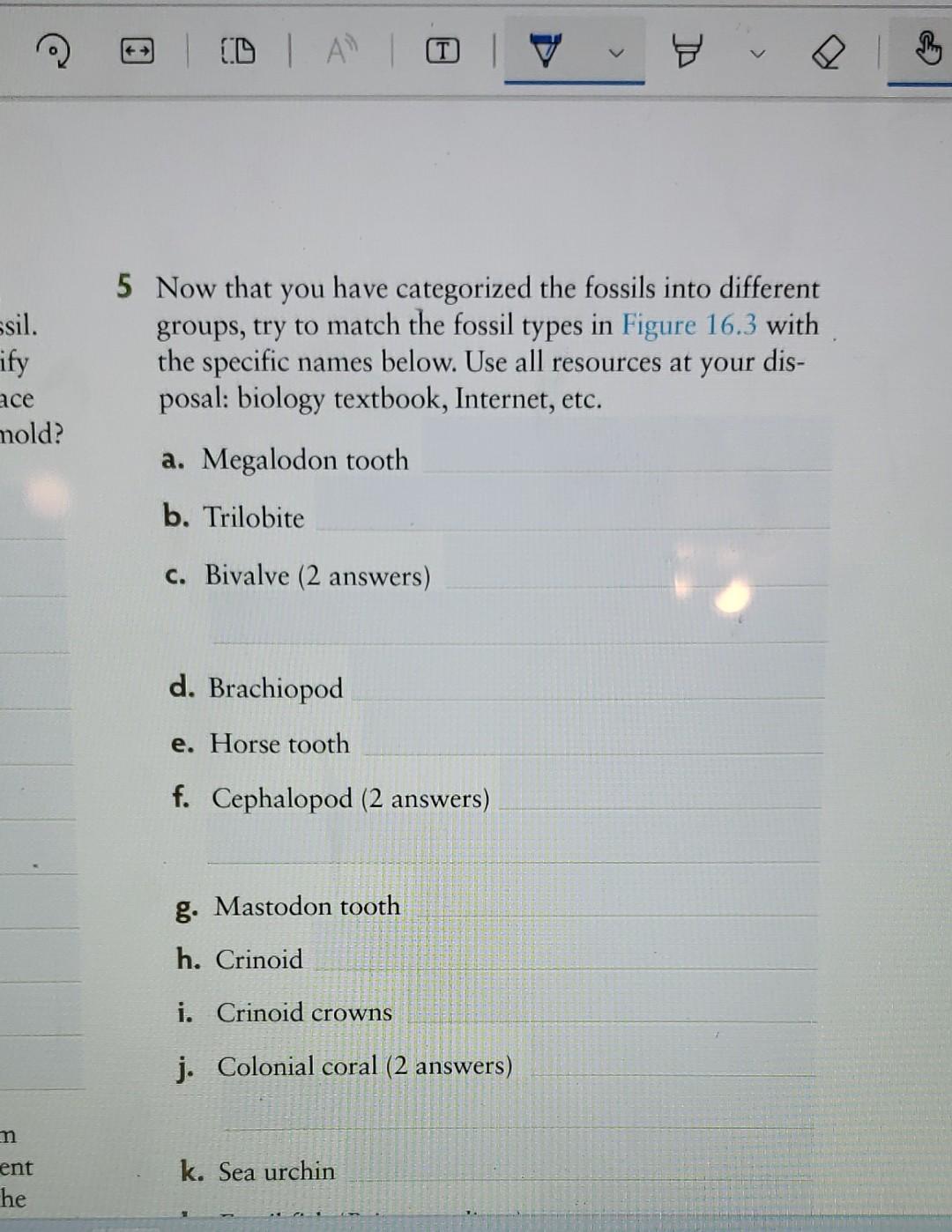Identify Examine And Classify Fossils Working In Groups Of 4 Students Should Closely Examine The Fossils And Answer T 1