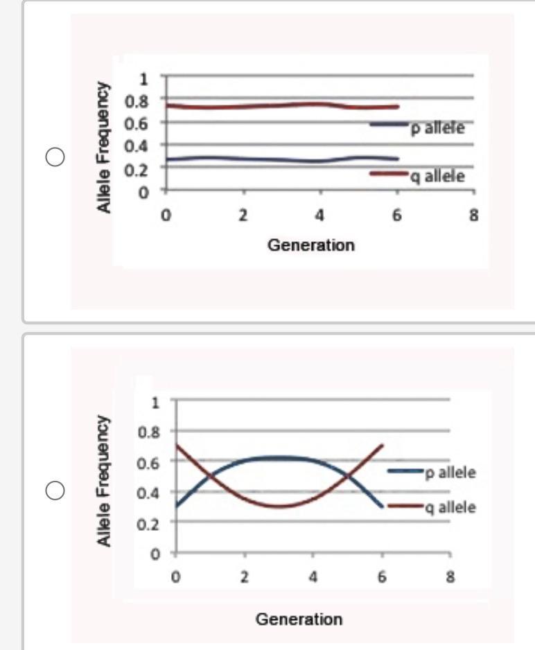 1 In A Species Of Fish An Observable Trait Is Determined By A Gene For Which There Are Only Two Alleles P And Q And P 1