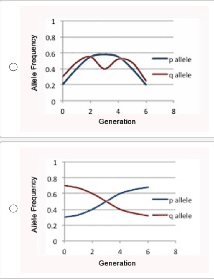 1 In A Species Of Fish An Observable Trait Is Determined By A Gene For Which There Are Only Two Alleles P And Q And P 2