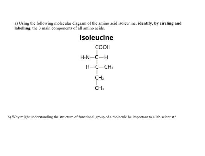 A Using The Following Molecular Diagram Of The Amino Acid Isoleucine Identify By Circling And Labelling The 3 Main C 1