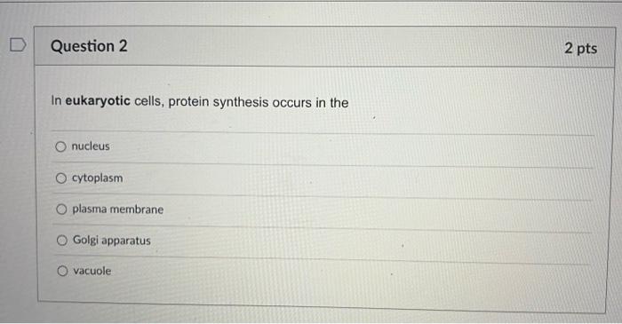 Question 1 2 Pts The Immediate Energy Source That Drives Atp Synthesis During Chemiosmosis Is O Oxidation Of Glucose And 2