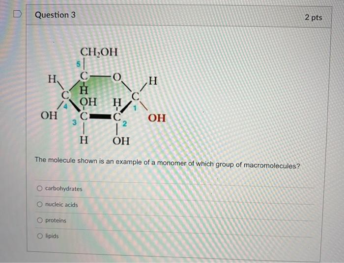 Question 1 2 Pts The Immediate Energy Source That Drives Atp Synthesis During Chemiosmosis Is O Oxidation Of Glucose And 3