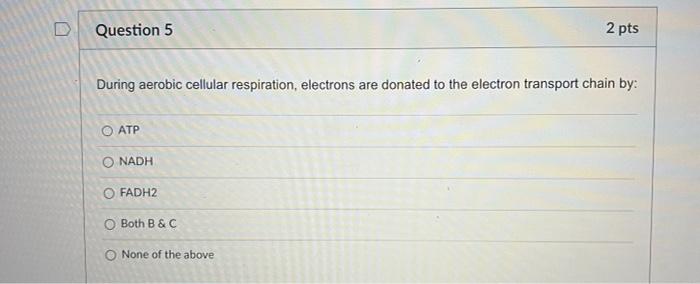 Question 1 2 Pts The Immediate Energy Source That Drives Atp Synthesis During Chemiosmosis Is O Oxidation Of Glucose And 5