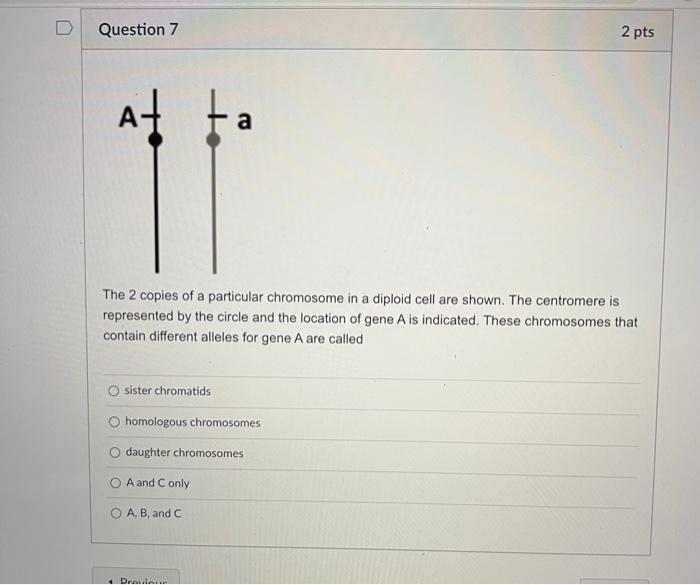 Question 1 2 Pts The Immediate Energy Source That Drives Atp Synthesis During Chemiosmosis Is O Oxidation Of Glucose And 7