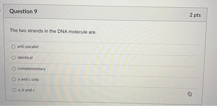 Question 1 2 Pts The Immediate Energy Source That Drives Atp Synthesis During Chemiosmosis Is O Oxidation Of Glucose And 9