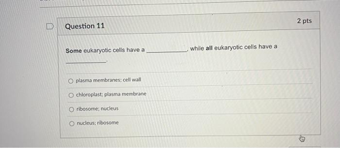 2 Pts D Question 11 Some Eukaryotic Cells Have A While All Eukaryotic Cells Have A O Plasma Membranes Cell Wall Chlorop 1