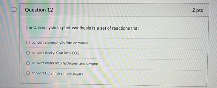 2 Pts D Question 11 Some Eukaryotic Cells Have A While All Eukaryotic Cells Have A O Plasma Membranes Cell Wall Chlorop 2