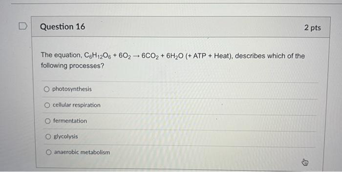 2 Pts D Question 11 Some Eukaryotic Cells Have A While All Eukaryotic Cells Have A O Plasma Membranes Cell Wall Chlorop 6